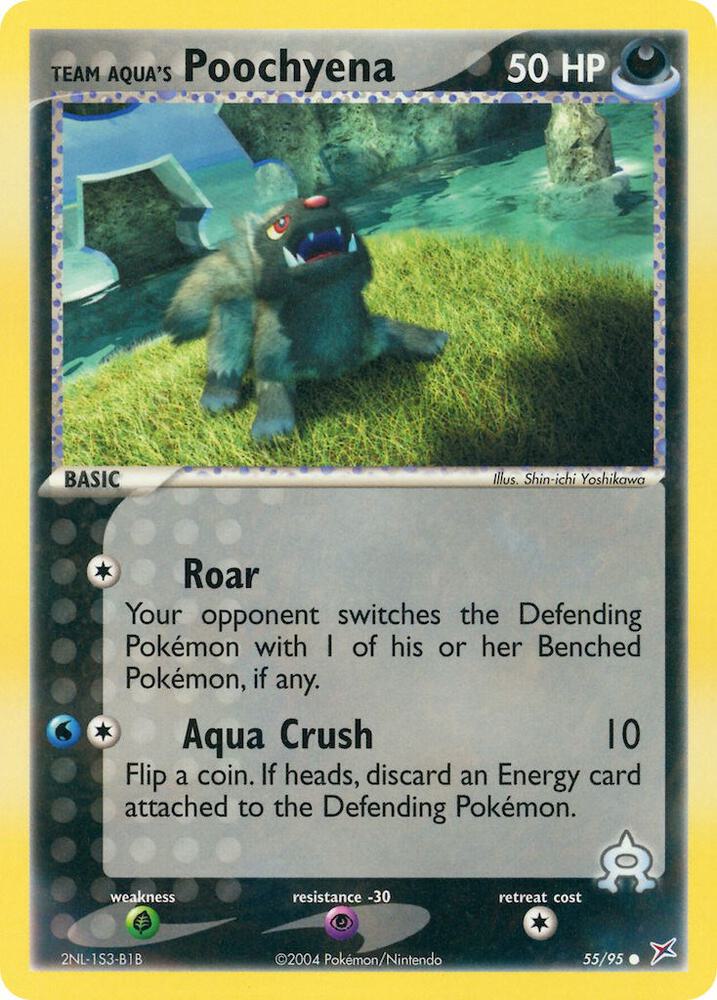 Team Aqua's Poochyena - 55/95 card image