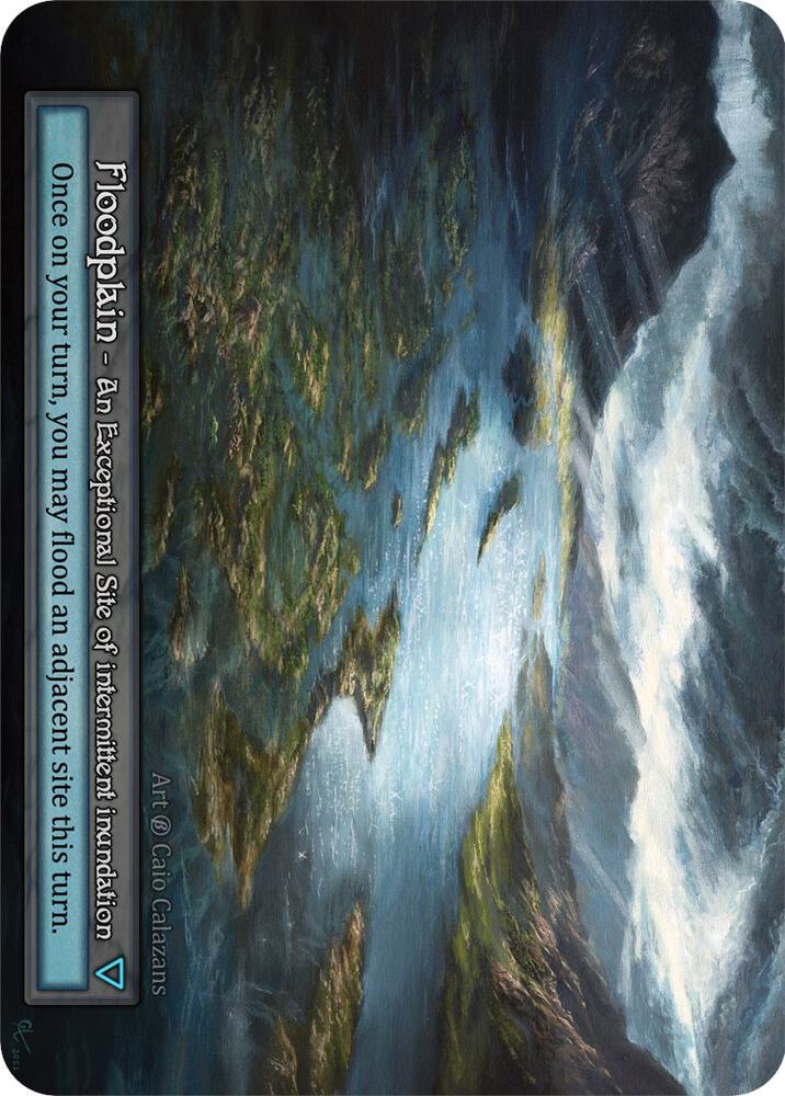 Floodplain card image