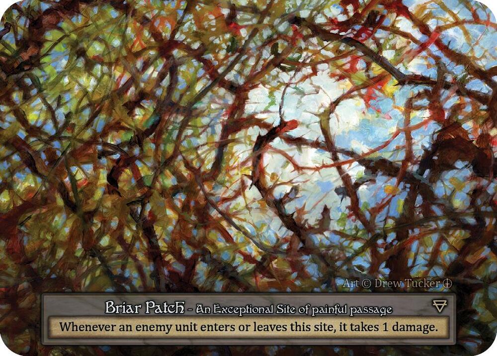 Briar Patch card image