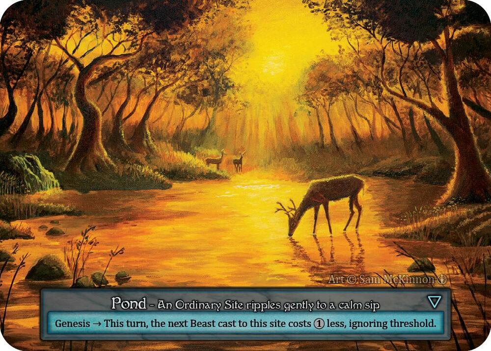 Pond card image