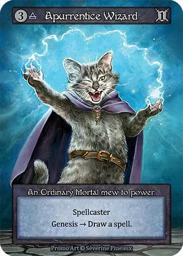 Apurrentice Wizard card image