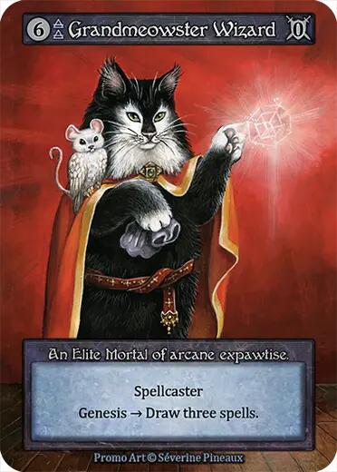 Grandmeowster Wizard card image