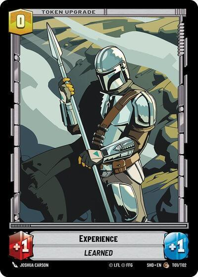 Experience // Shield card image