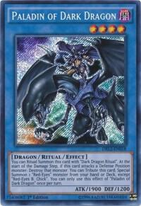 Paladin of Dark Dragon card image