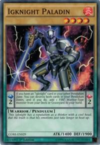 Igknight Paladin card image