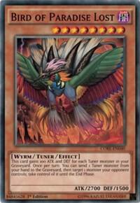 Bird of Paradise Lost card image