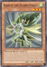Garum the Storm Vassal card image