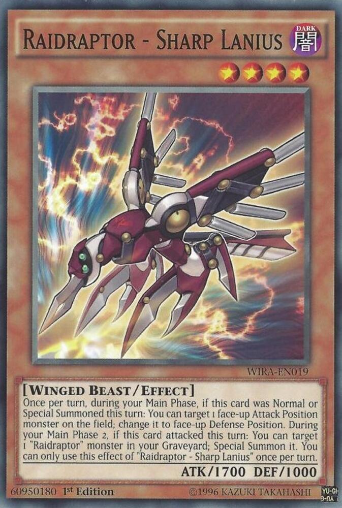 Raidraptor - Sharp Lanius card image