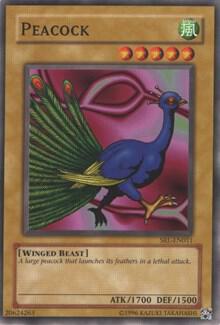 Peacock card image