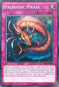 Paleozoic Pikaia (1st Edition) card image