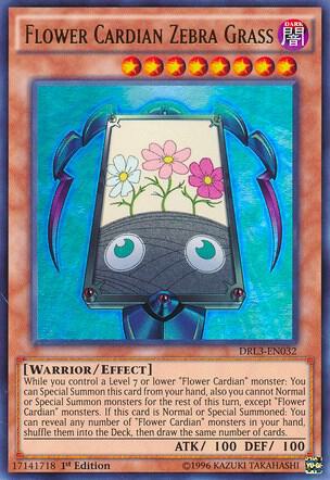 Flower Cardian Zebra Grass card image