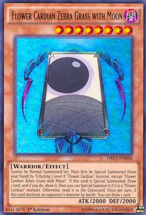Flower Cardian Zebra Grass with Moon card image