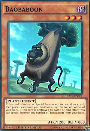 Baobaboon card image
