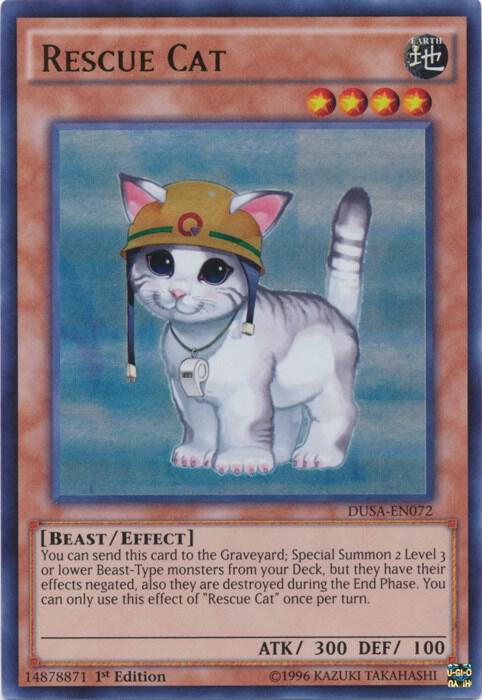 Rescue Cat card image