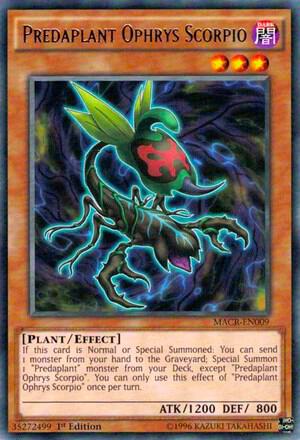 Predaplant Ophrys Scorpio card image
