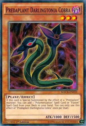 Predaplant Darlingtonia Cobra card image