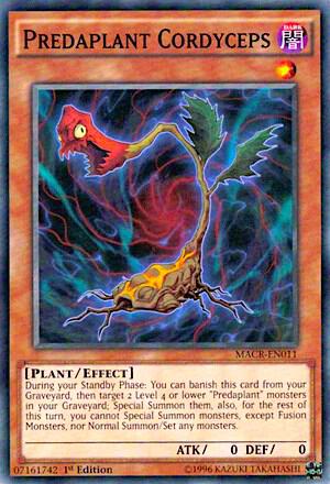 Predaplant Cordyceps card image