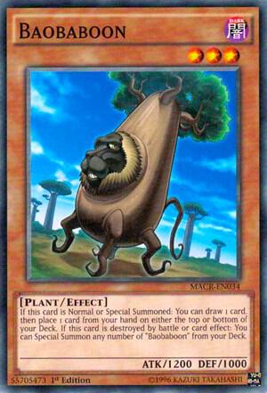 Baobaboon card image