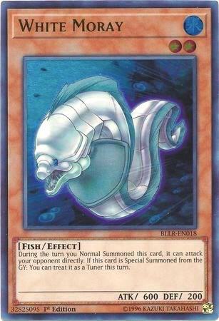 White Moray card image