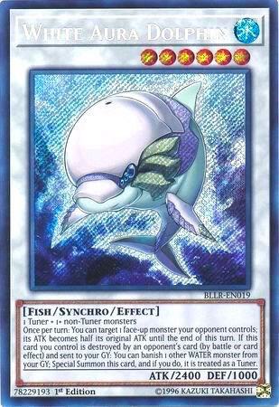 White Aura Dolphin card image