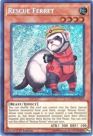 Rescue Ferret card image