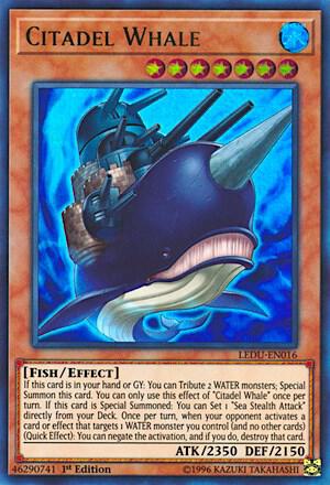 Citadel Whale card image