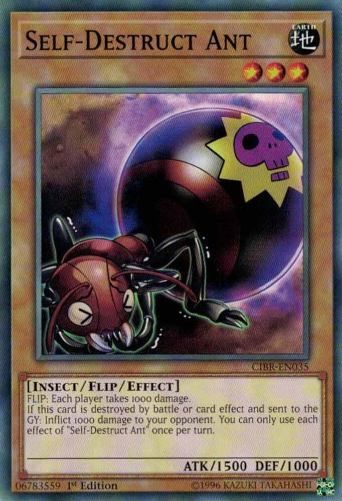 Self-Destruct Ant card image