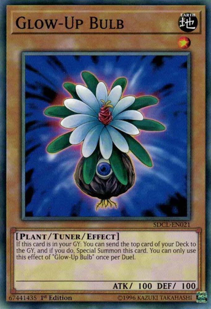 Glow-Up Bulb card image