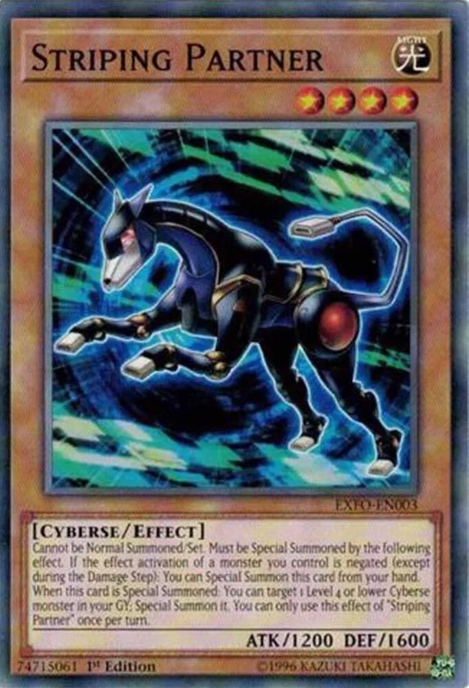Striping Partner card image