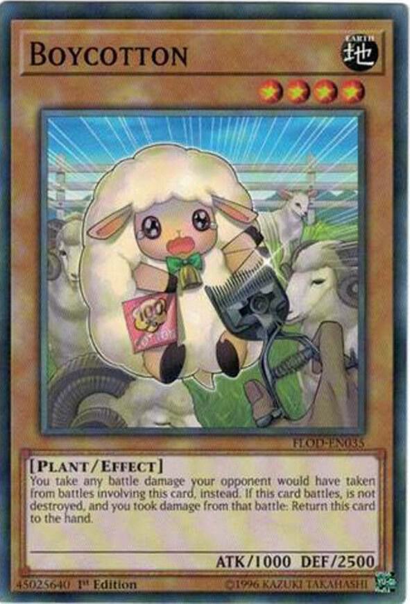 Boycotton card image