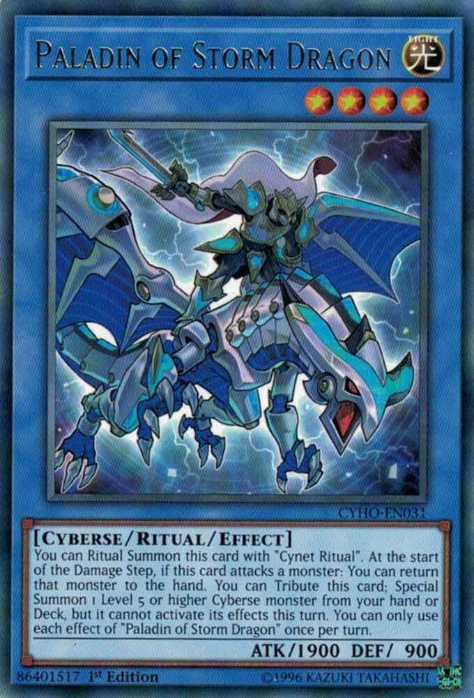 Paladin of Storm Dragon card image