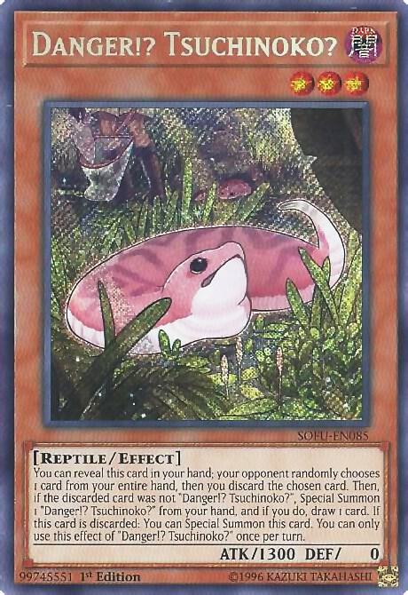 Danger!? Tsuchinoko? card image