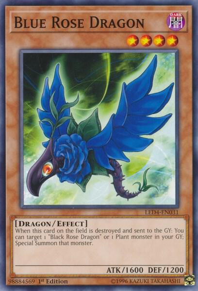 Blue Rose Dragon card image
