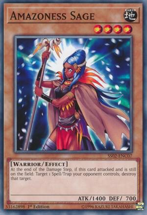 Amazoness Sage card image