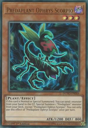 Predaplant Ophrys Scorpio card image
