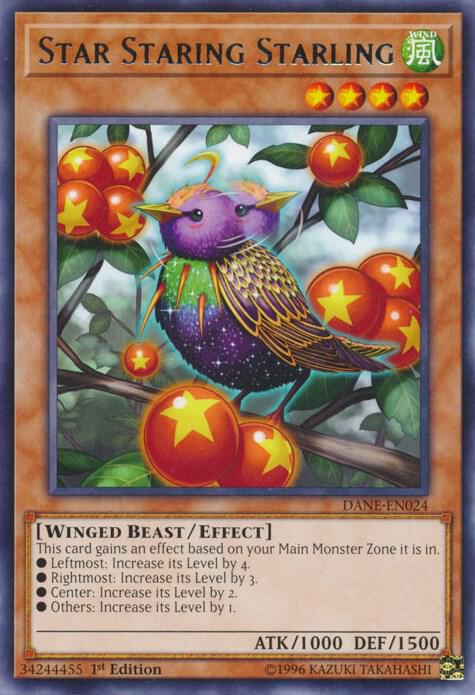 Star Staring Starling card image