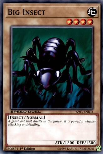 Big Insect card image