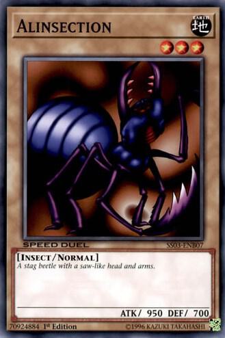 Alinsection card image