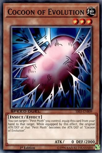 Cocoon of Evolution card image