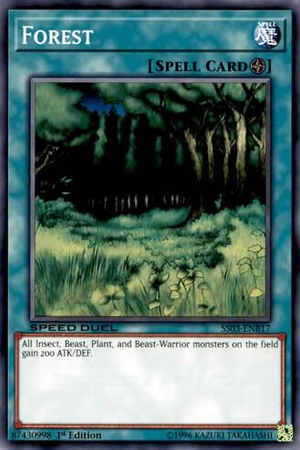 Forest card image
