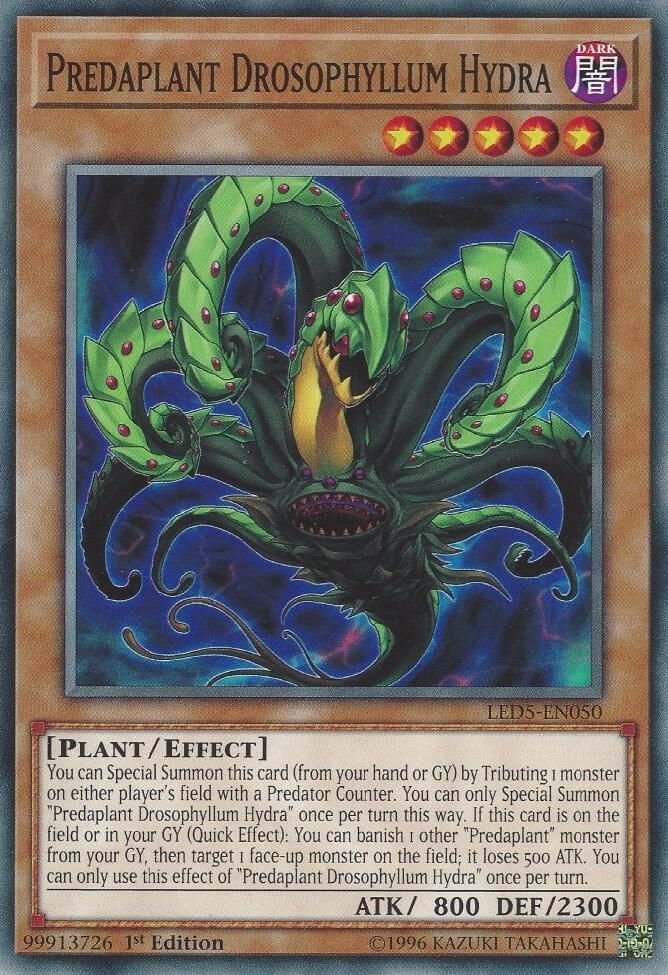 Predaplant Drosophyllum Hydra card image