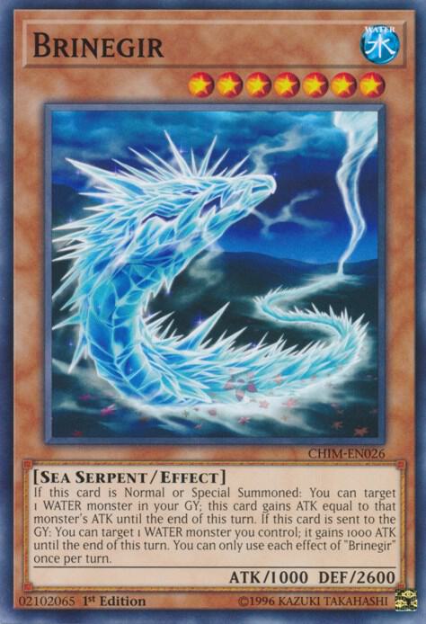 Brinegir card image