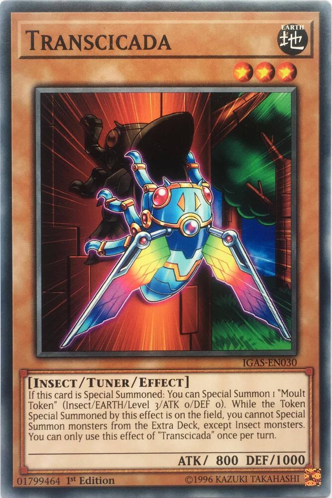 Transcicada card image