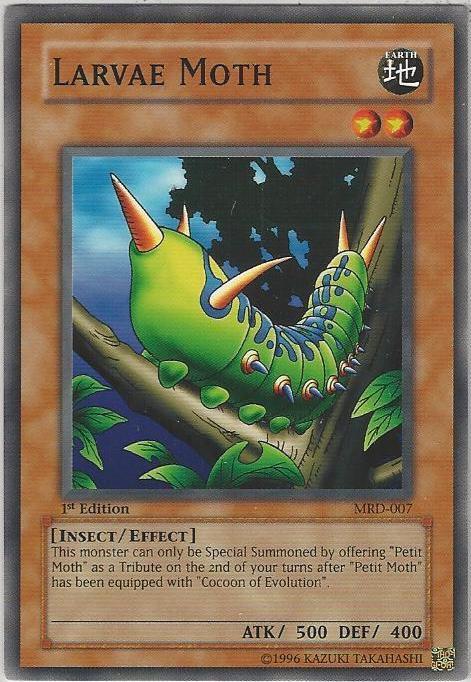 Larvae Moth card image