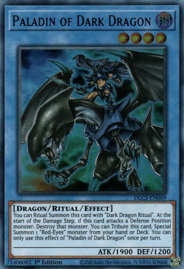 Paladin of Dark Dragon card image
