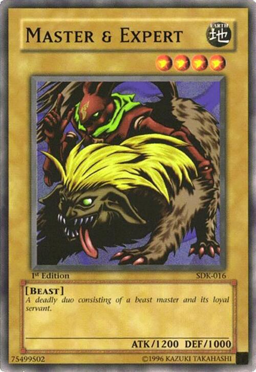 Master & Expert card image