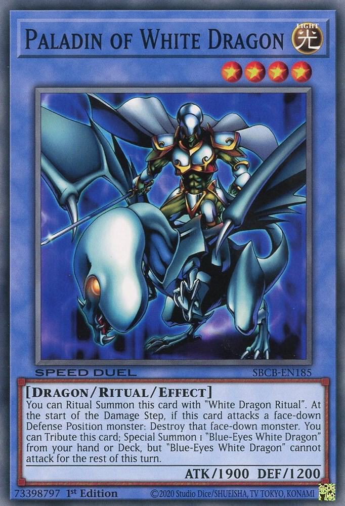 Paladin of White Dragon card image