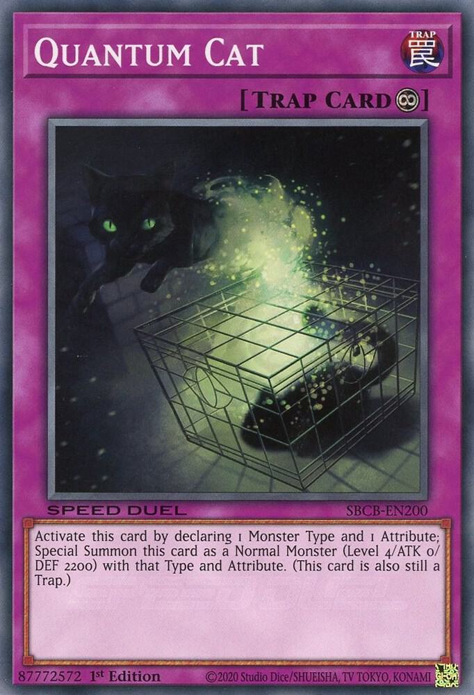 Quantum Cat card image