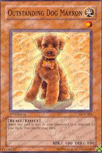 Outstanding Dog Marron card image