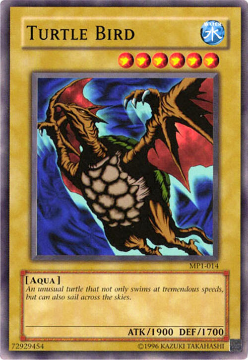 Turtle Bird card image